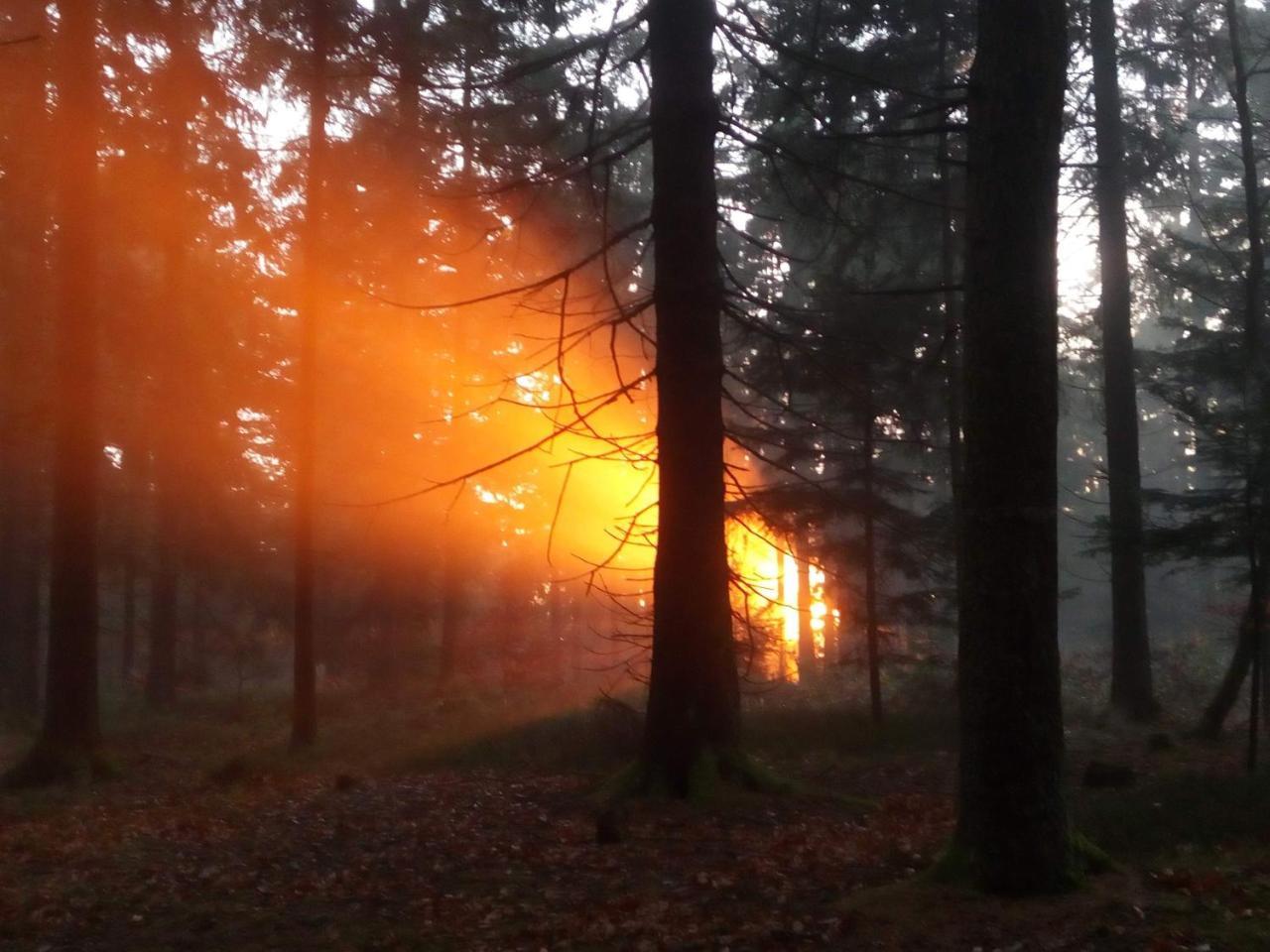 Gasthof-Hotel Dilger Rattenberg Eksteriør bilde